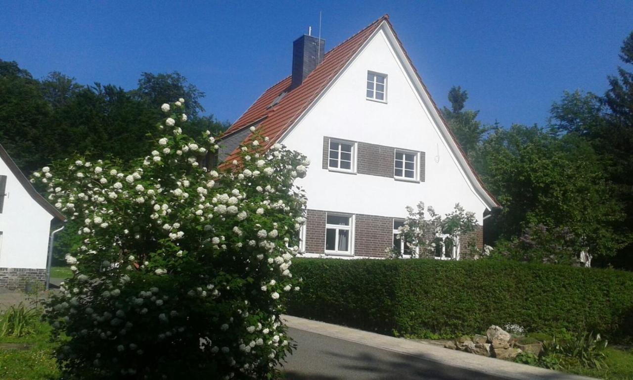 Forsthaus Wegenerskopf Lägenhet Thale Exteriör bild