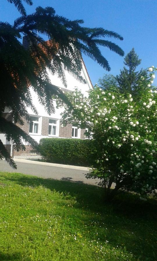 Forsthaus Wegenerskopf Lägenhet Thale Exteriör bild